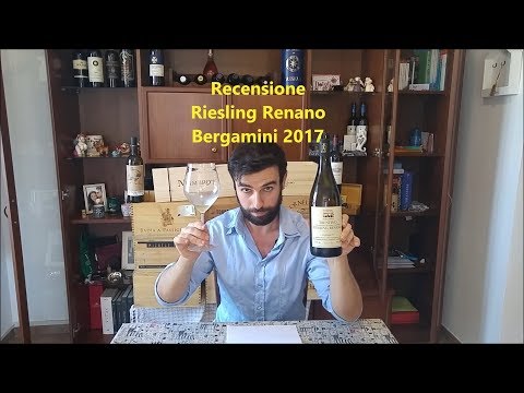 Fresco, Sapido, Biologico. Sarà pure buono? – La mia valutazione – Maso Bergamini Riesling 2017