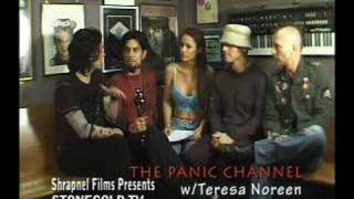 The Panic Channel w/ Teresa Noreen