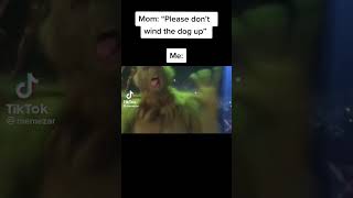 Don’t Rile Up The Dogs! #shorts Credit: Memezar