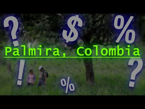 Where is Palmira? Quick facts about Palmira and its people!