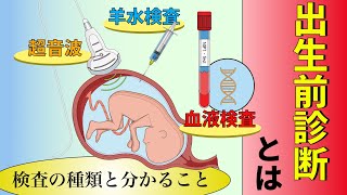 遺伝カウンセリングの前に～その3～