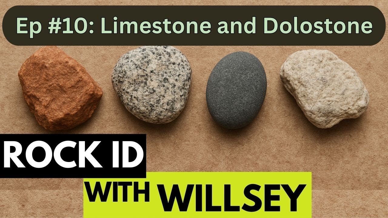Rock ID With Willsey, Ep #10: Carbonate Sedimentary Rocks (Limestone and Dolostone)