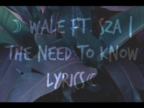 download lagu mp3 mp4 The Need To Know Wale Lyrics, download lagu The Need To Know Wale Lyrics gratis, unduh video klip The Need To Know Wale Lyrics