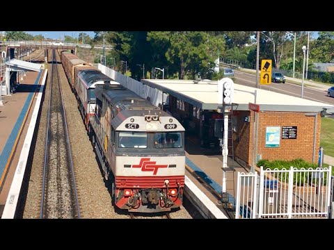 Waratah- SCT 009, CSR 001- Run 6MB9