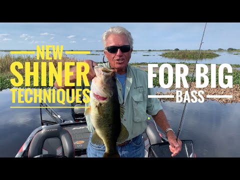 New shiner Techniques for Big Bass