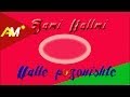 Sami Kallmi Valle Pogonishte Official Audio