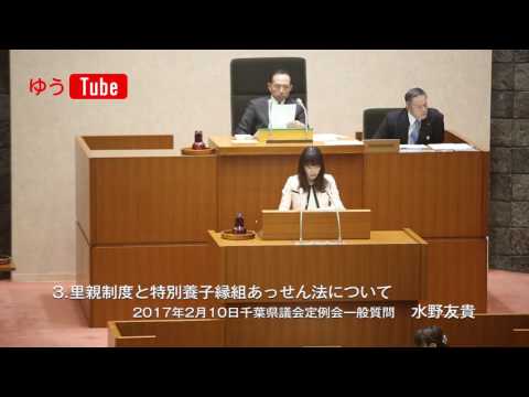 国際関係学科 千葉県議会議員 水野友貴 2017年2月10日一般質問 【3】里親制度と特別養子縁組あっせん法について