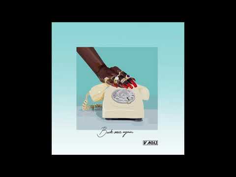 VAQU -Back Once Again Vol.II
