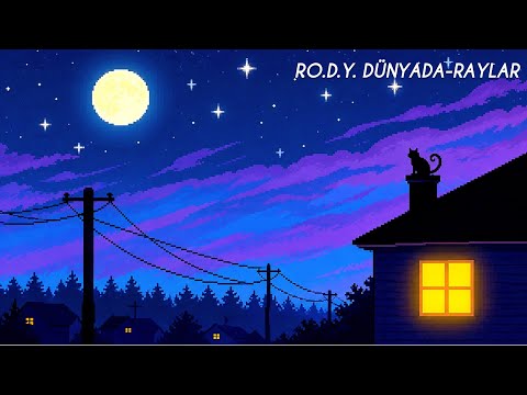 R.O.D.Y. Dünyada-Raylar (Cover) | Furkan