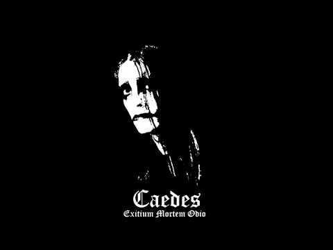 Caedes - Fallen world