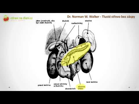 A pinworms élhetnek a hüvelyben