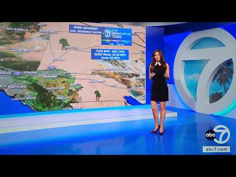 Brianna Ruffalo Legs