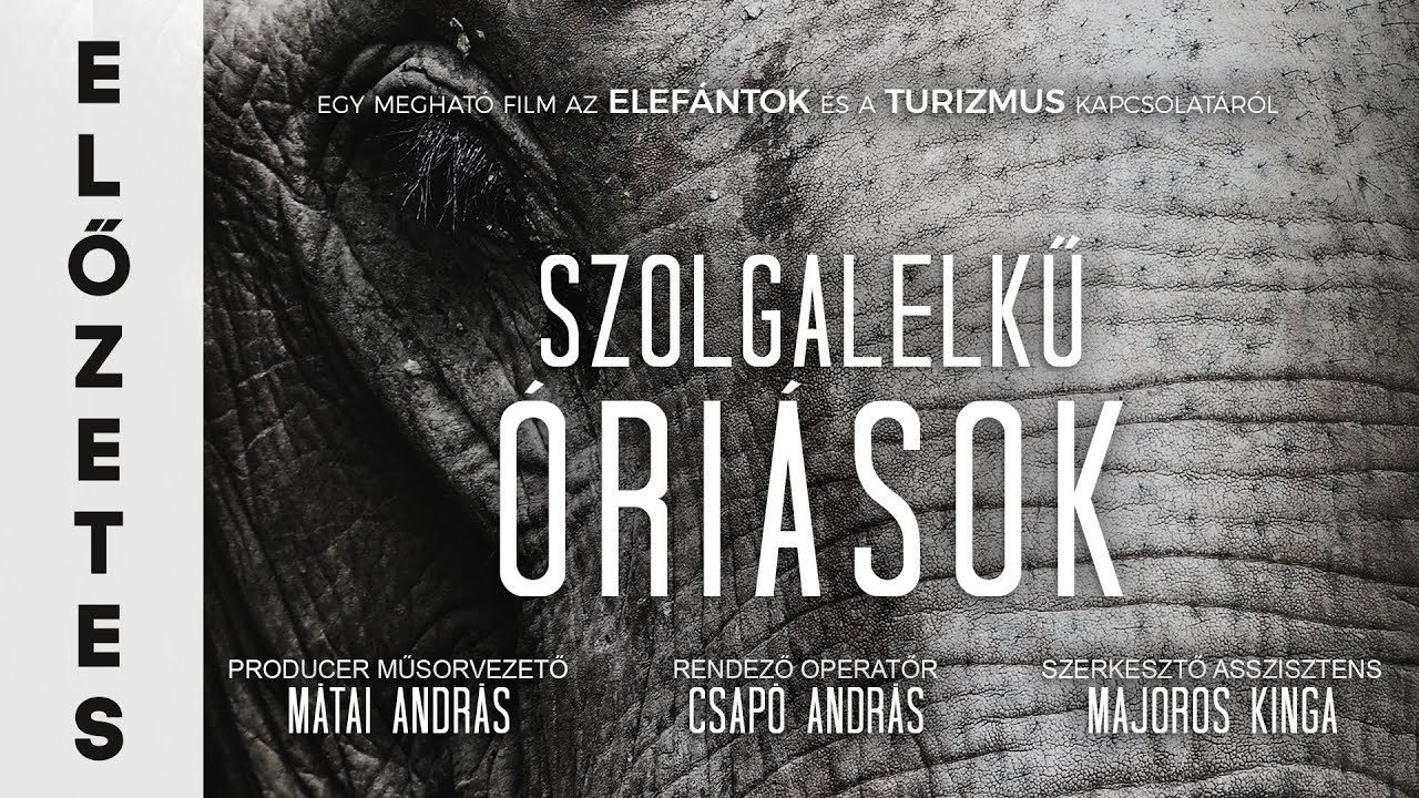 ELŐZETES: Szolgalelkű Óriások - fesztivál nyertes magyar film az elefántok és turizmus kapcsolatáról