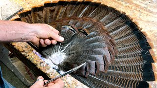 How to Make A TURKEY TAIL PLAQUE | EASY DIY