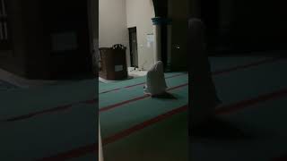 Download lagu penampakan hantu di dalam masjid #funny #lucu #memengakakkocak mp3