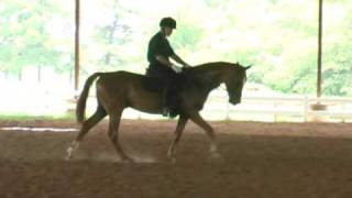 preview picture of video 'Calvin Schooling, July 09'
