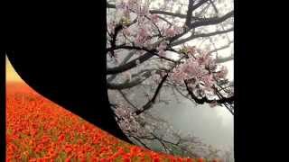 La Grieta - Vetusta Morla