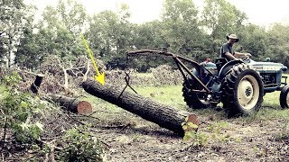 The inside of this Red Oak log was INCREDIBLE!