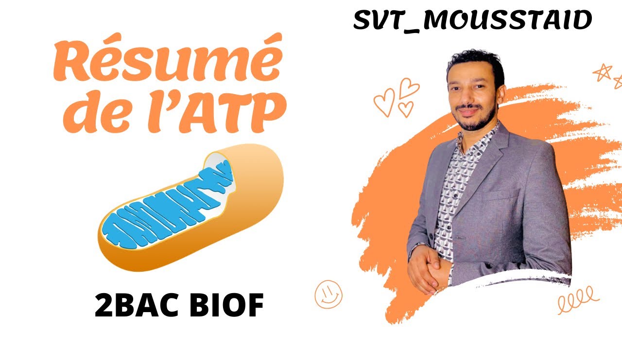 Résumé de ATP 🔥 RESPIRATION ET FERMENTATION Darss kaml 2Bac Biof