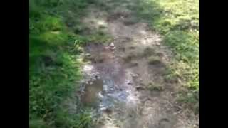 preview picture of video 'NIPSCO UNDERGROUND GAS LINE South Bend, IN. new gas line damage'