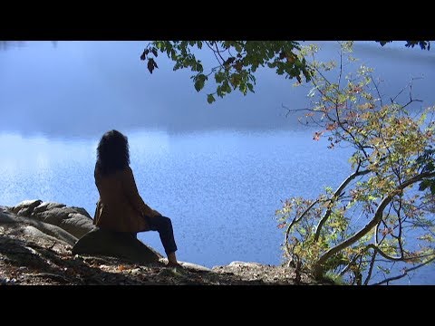 Barbara Zanetti - Could You