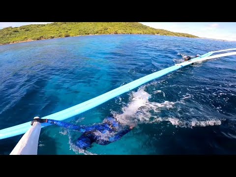 Hunting one of the best fish we can offer for our visitors | catch and cook