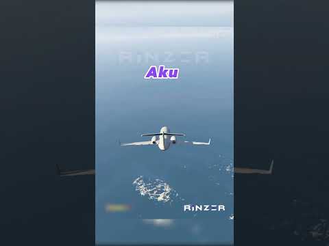 Bisakah Pesawat Mendarat Darurat Di Laut GTA 5