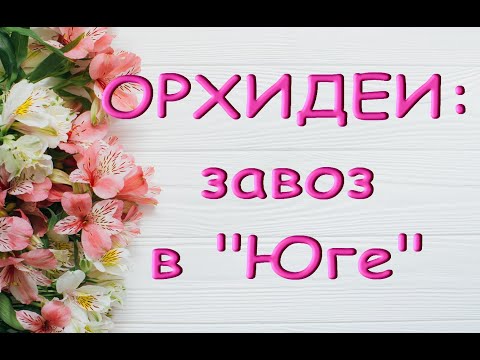 ЗАВОЗ прекрасных ОРХИДЕЙ в "Юге",22.10.20,Самара,ул.Авиационная,8.