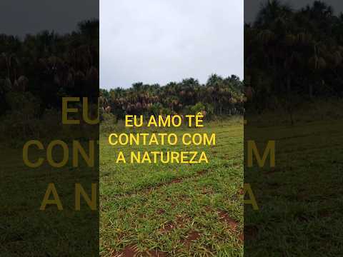 LINDOVAL BITENCOURT..A NATUREZA E LINDA ITUMBIARA GOIÁS 🎇🎇🎇🇧🇷🇧🇷🎆🎆🎉💕🎊🎊