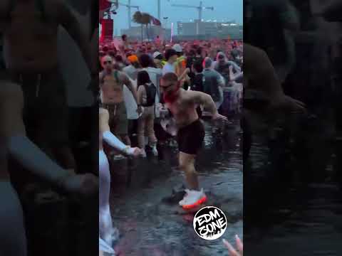 Dimitri Vegas & Like Mike & Tiësto & Dido & W&W - Thank You (Not So Bad) Rain couldn’t stop him 😍