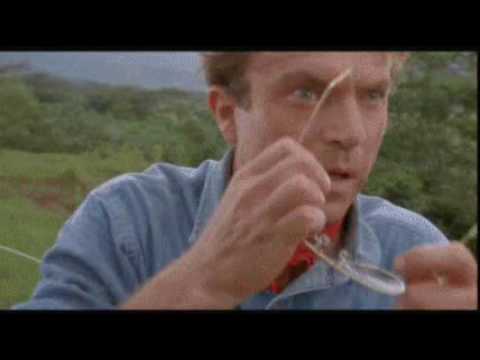 YTMND-Holy shi* it's a Dinosaur WTF (jurassic park)
