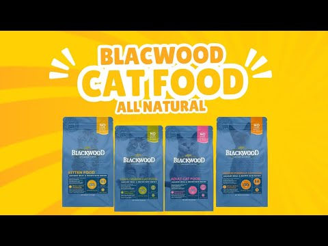 Rerum maxime voluptatibus magni minus incidunt esse consectetur blanditiis