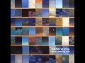 Tindersticks - Goodbye Joe