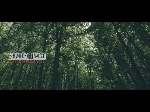video frame placeholder