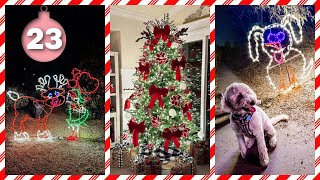 VLOGMAS 2025 ❄ Day 23 | Riparian After Dark w/ the Pups & Mama's Christmas Decor!