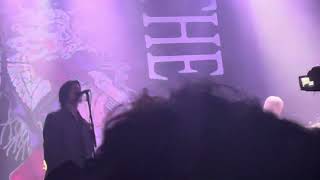 The Garden- I See a Moth (Live)