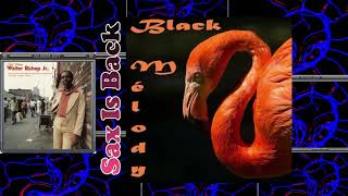 Walter Bishop Jr. - Soul Village + Philadelphia Bright