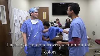 Download lagu Despacito pathology parody mp3 Download lagu Despacito pathology parody mp3