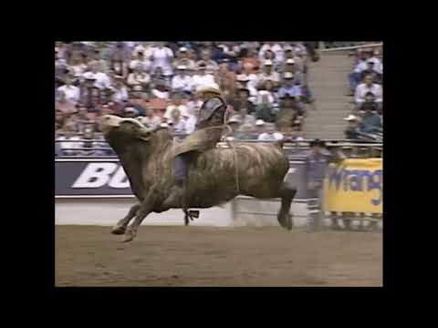 Trick Or Treat bucks Aaron Semas - 99 PBR Reno