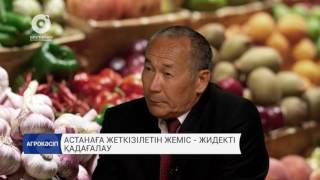 Астанаға жеткізілетін жеміс-жидекті қадағалау