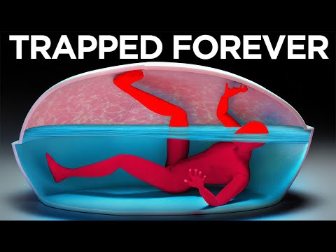 Stories That Sound Fake But Actually Happened