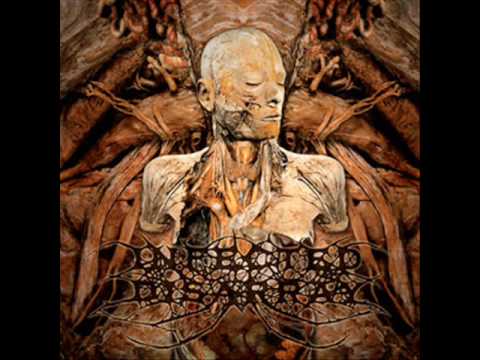 Infected Disarray - Gestated Human Slurry