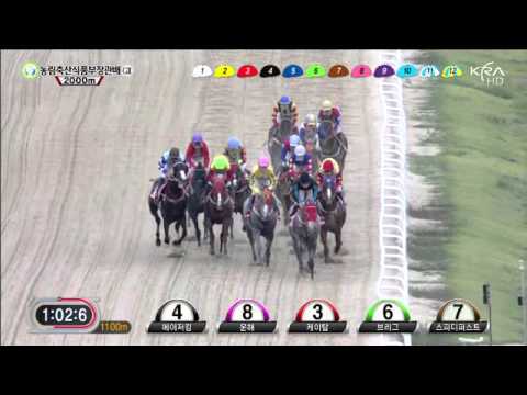 Minister's Cup 2013 - Major King