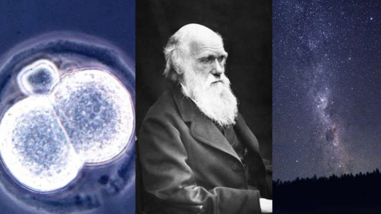 15 Times Science Got It Completely Wrong And Left Us In The Dark