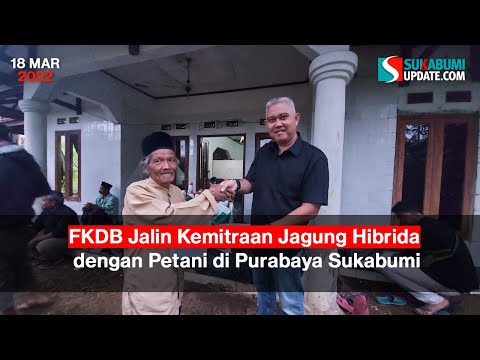 FKDB Jalin Kemitraan Jagung Hibrida dengan Petani di Purabaya Sukabumi