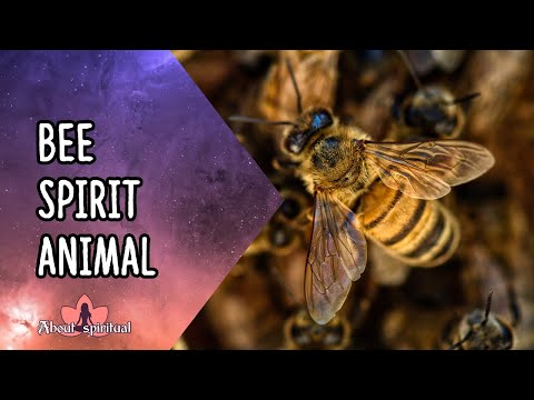 , title : 'Bee Spirit Animal (Meaning And Symbolism)'