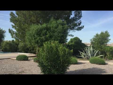 Finca-Urlaub auf Mallorca - romantische Natursteinfinca mit Pool (ET/2945): www.es-coscois.de