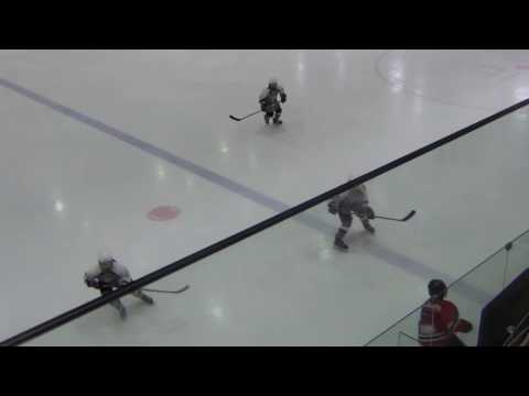 HC Panter 06/07 - HC Bulldogs 07  1-4 (0-2, 1-2)  31.03.2017