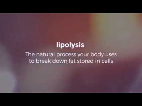 Lipo Lab Fat Dissolving PPC Solution Injections