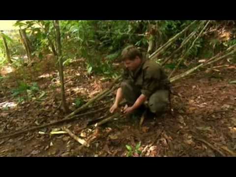 Ray Mears' Bushcraft   S01   E03   Jungle Trek